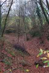 Douve est de la motte de Coh Castel � Brandivy