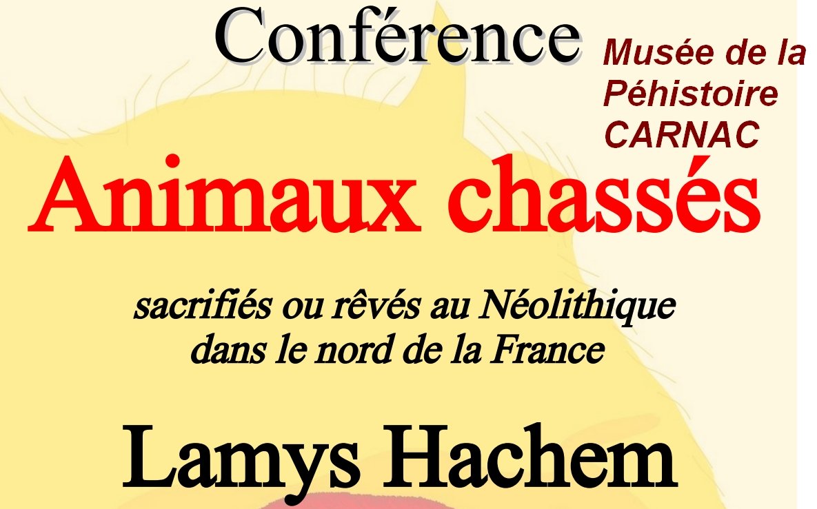 Carnac   Animaux chasss   Lamys Hachem